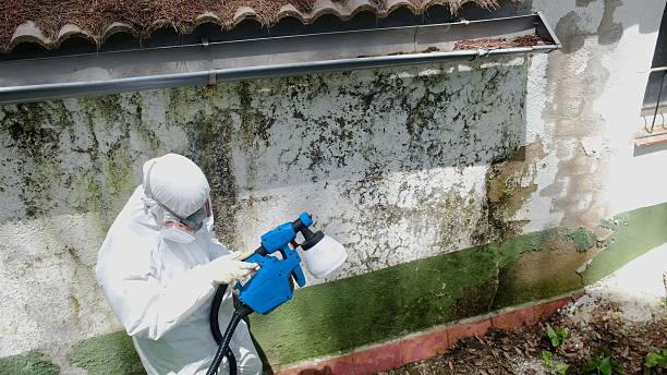 Trusted Mold Inspection service in Rebersburg, PA - Cheap Mold Removal